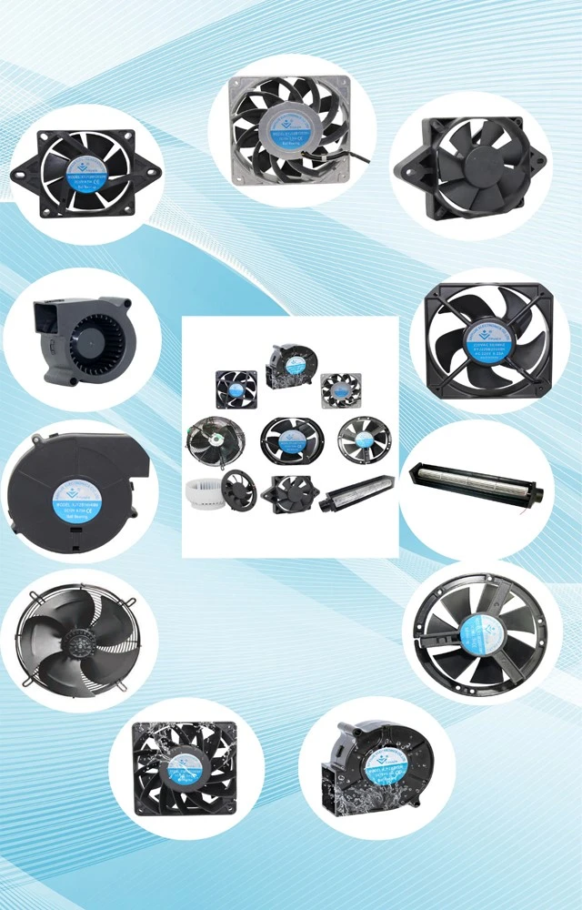 product-640-1000 product-640-1000